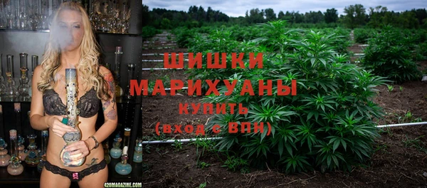 PSILOCYBIN Балабаново