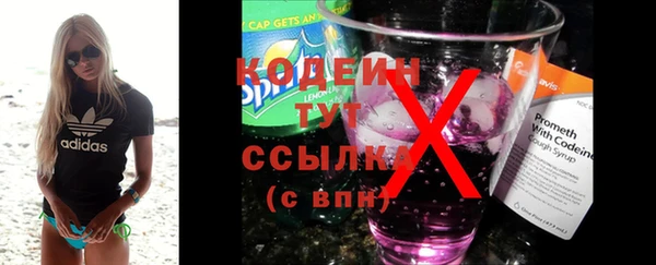 индика Кодинск