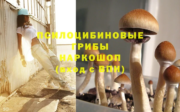 a pvp Балахна