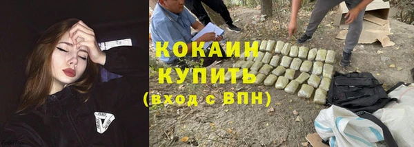 PSILOCYBIN Балабаново